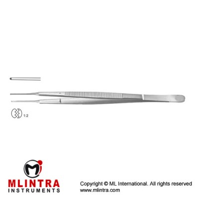 Gerald Dissecting Forceps Curved - 1 x 2 Teeth Stainless Steel, 15.5 cm - 6"